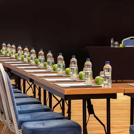 ホテル Radisson Blu イスタンブール