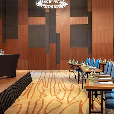 ホテル Radisson Blu イスタンブール